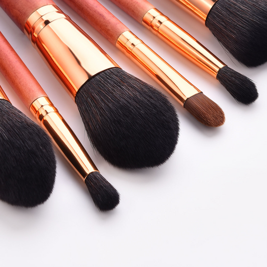 Lux brush set